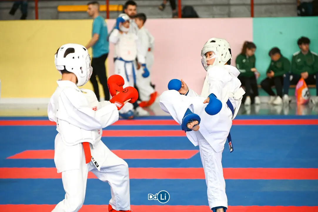 KARATE-45
