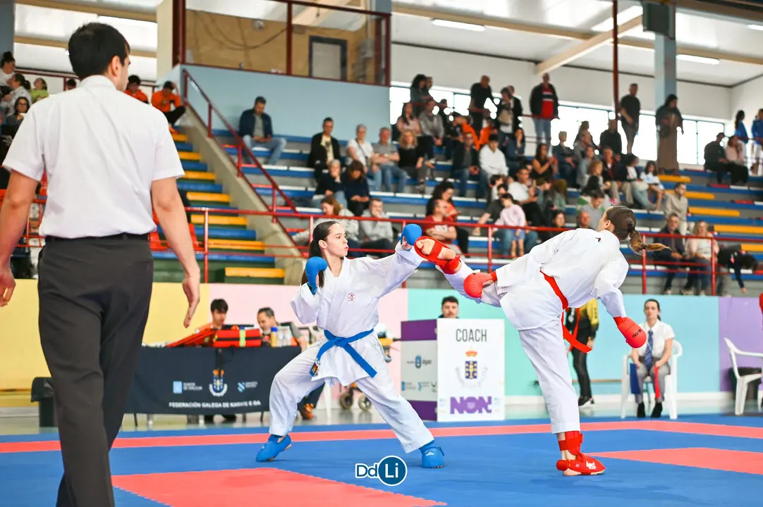 KARATE-60