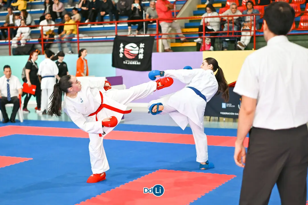 KARATE-66
