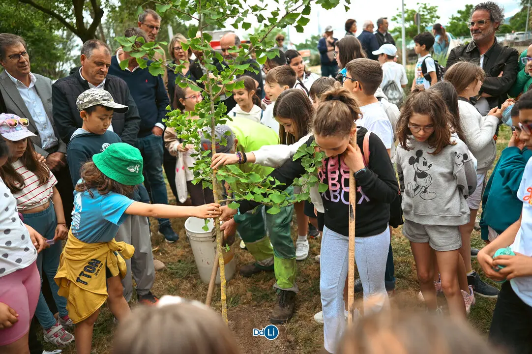 abrazo ao rio limia 2025-01