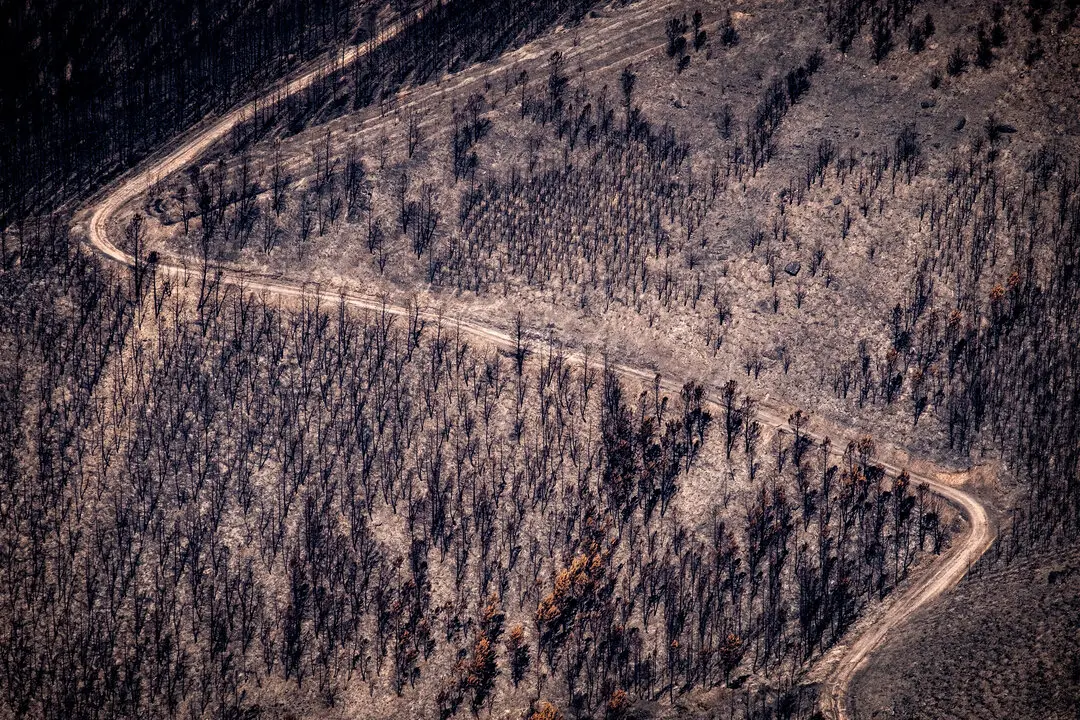 30 agosto 2025. Pico Montouto, Serra dos cabalos. Ourense. 

Espa&ntilde;a, con 27,9 millones de hect&aacute;reas de suelo forestal que ocupan el 55,2 % del territorio nacional, es el segundo pa&iacute;s con mayor superficie forestal de la UE, por detr&aacute;s de Suecia. No obstante, el abandono del medio rural y del uso tradicional de los bosques han incrementado la superficie de masas vegetales j&oacute;venes, con un exceso de densidad agravado por la falta de diversidad faun&iacute;stica. Por otro lado, la &ldquo;urbanizaci&oacute;n&rdquo; y el uso recreativo del monte se han traducido en mayor riesgo de ignici&oacute;n. 

&copy;Greenpeace/ Pedro Armestre