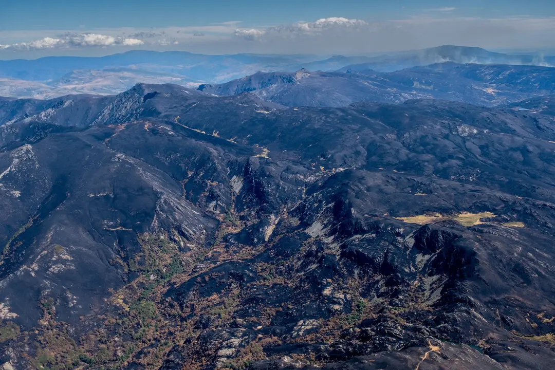 30 agosto 2025. Pena Trevinca, Serra do Eixe y Segundeira, entre Ourense y Zamora. Es el techo de Galicia y de la provincia de Zamora. El fuego ha calcinado zonas de alto valor ambiental de la Red Natura 2000.

&ldquo;2025 lamentablemente es un a&ntilde;o hist&oacute;rico, en el que cada incendio ha sido mucho m&aacute;s destructivo que los anteriores. Es urgente que se gestionen las masas forestales que son el escenario donde transcurre el fuego. Y que paralelamente se trabaje en el pacto de Estado para definir una hoja de ruta nacional ambiciosa con compromisos vinculantes, financiaci&oacute;n estable, participaci&oacute;n ciudadana, un sistema de rendici&oacute;n de cuentas y poner especial foco en aquellas personas en situaci&oacute;n de vulnerabilidad&rdquo;, ha a&ntilde;adido M&oacute;nica Parrilla de Diego, responsable de la campa&ntilde;a de incendios forestales de Greenpeace.


&copy;Greenpeace/ Pedro Armestre