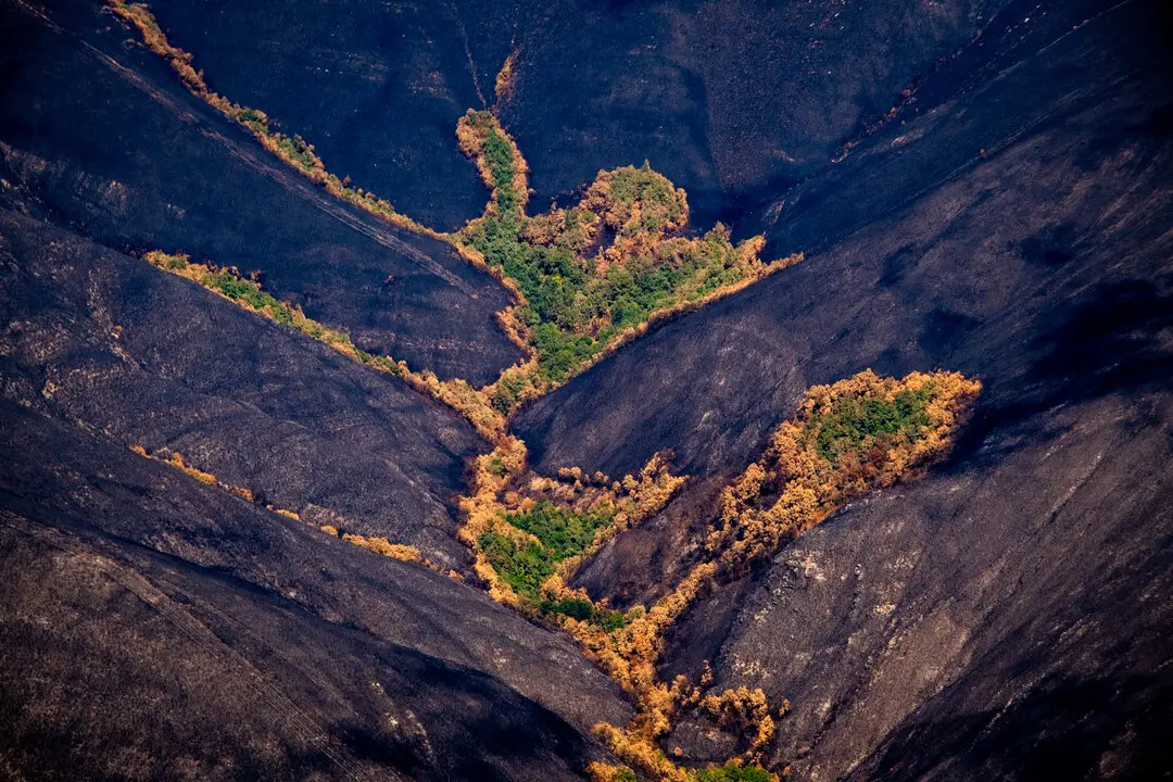 30 agosto 2025. Pico Montouto, Serra dos cabalos. Ourense. 
Es urgente la gesti&oacute;n anual de, como m&iacute;nimo, el 1 % de la superficie forestal a escala nacional (260.000 ha) para preparar el territorio a la llegada de los grandes incendios forestales, priorizando zonas estrat&eacute;gicas de actuaci&oacute;n. Para ello, es necesario destinar alrededor de 1.000 millones de euros al a&ntilde;o.

&copy;Greenpeace/ Pedro Armestre