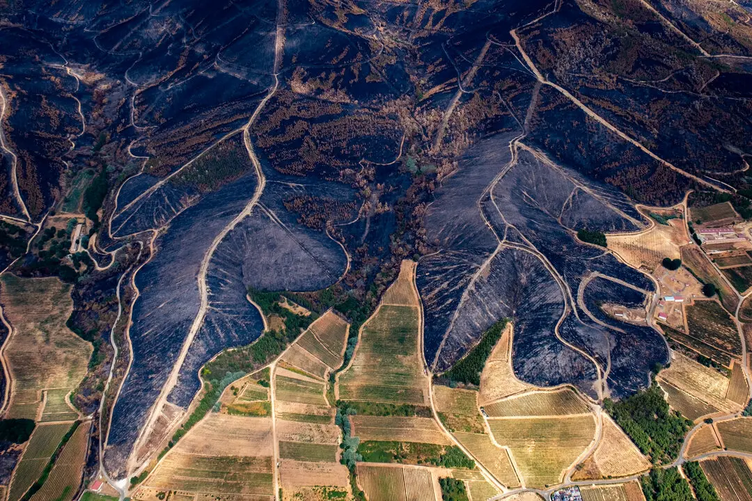 30 agosto 2025. Albarellos. Ourense. 

En la actualidad, la poblaci&oacute;n rural en Espa&ntilde;a representa el 17,2 % del total y el 83%, aproximadamente, de los municipios tienen una poblaci&oacute;n inferior a 5.000 habitantes. Es fundamental dotar econ&oacute;micamente a estos municipios para implementar planes de emergencia ante incendios forestales. 

&copy;Greenpeace/ Pedro Armestre
