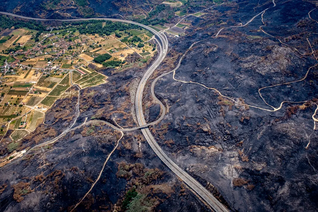 30 agosto 2025. Villaza. Ourense. 
 
Los incendios m&aacute;s devastadores de este siglo. Ocho de ellos en 2025: Los incendios de Molezuelas de la Carballeda (Zamora), Larouco (Ourense), Granxa, O&iacute;mbra (Ourense), Llamas de Cabrera (Le&oacute;n), Porto (Sanabria, Zamora),  Parafita / Chandrexa de Queixa, (Ourense), Boca de Hu&eacute;rgano (Le&oacute;n) y Jarilla (C&aacute;ceres),

&copy;Greenpeace/ Pedro Armestre