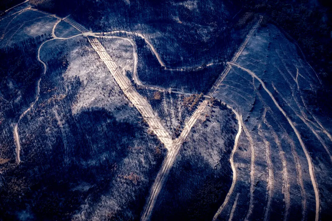 30 agosto 2025. Pico Montouto, Serra dos cabalos, Ourense. Incendio de Larouco, parroquia de Seadur.

La temporada de incendios forestales de este a&ntilde;o s&oacute;lo ha sido superada en 1985, 1978, 1994 y 1989. La singularidad del 2025 es que se ha sobrepasado la media de hect&aacute;reas calcinadas de los grandes incendios forestales (GIF). As&iacute;, la media de los GIF ha ascendido a 6.100 hect&aacute;reas, cuando hasta ahora hab&iacute;a sido de 1.500 ha/GIF. Es decir, cada gran incendio forestal est&aacute; quemando cuatro veces m&aacute;s superficie de lo habitual.

&copy;Greenpeace/ Pedro Armestre