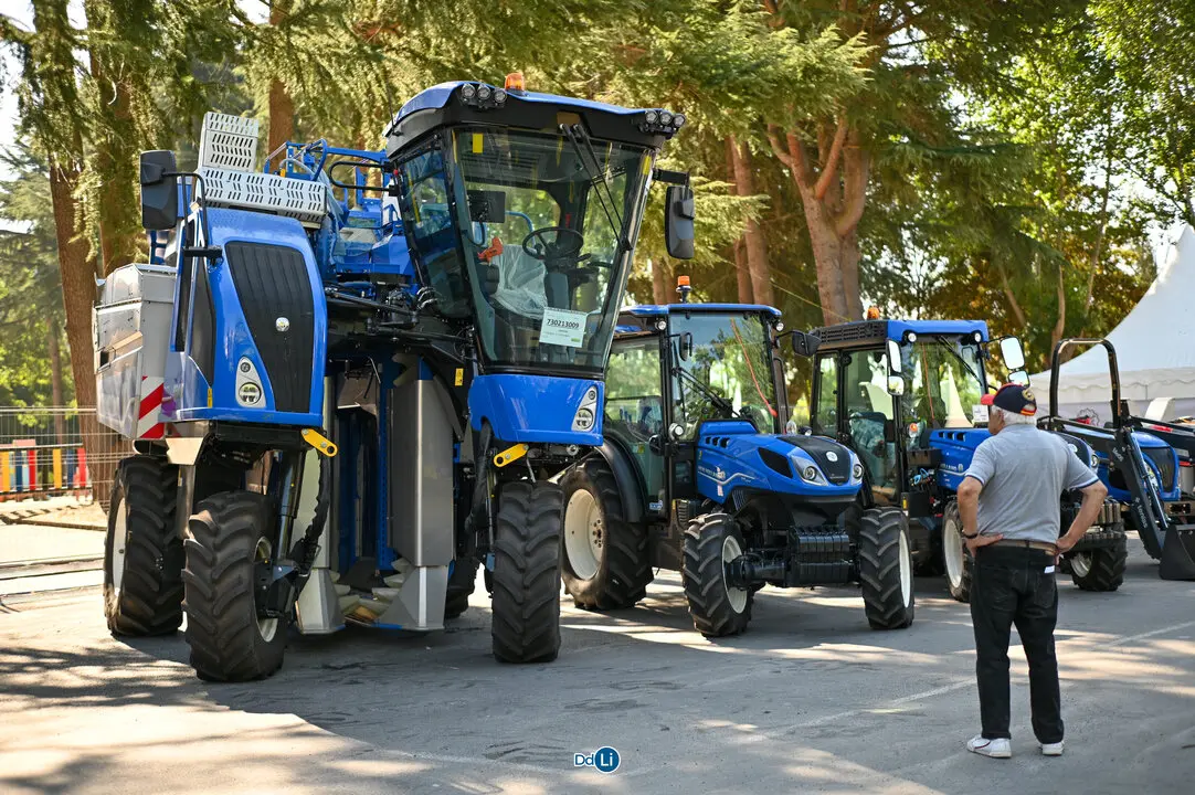 VI ALIMAGRO-93