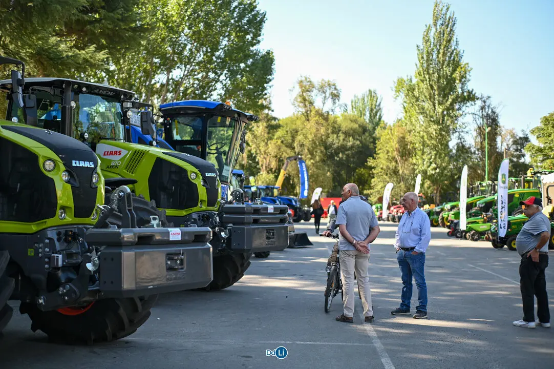 VI ALIMAGRO-95