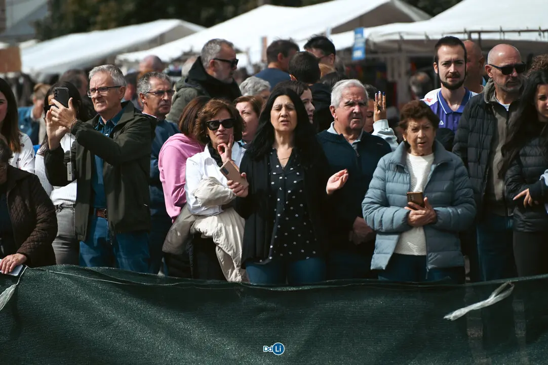 romaria da sainza-115