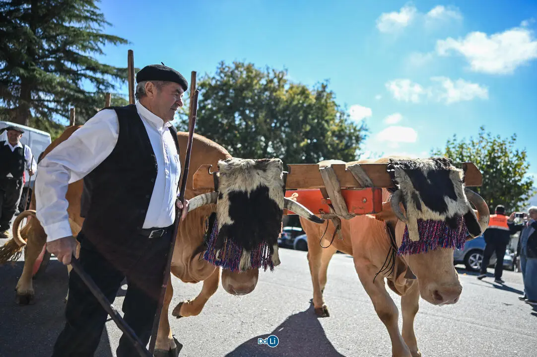 festa da paraca vilar de barrio-029