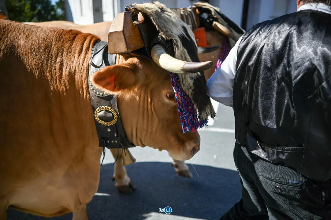 festa da paraca vilar de barrio-051