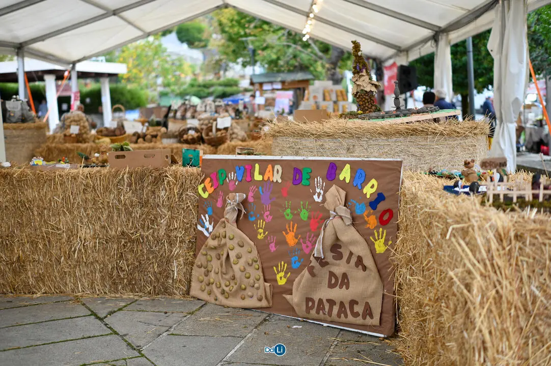 festa da paraca vilar de barrio-094