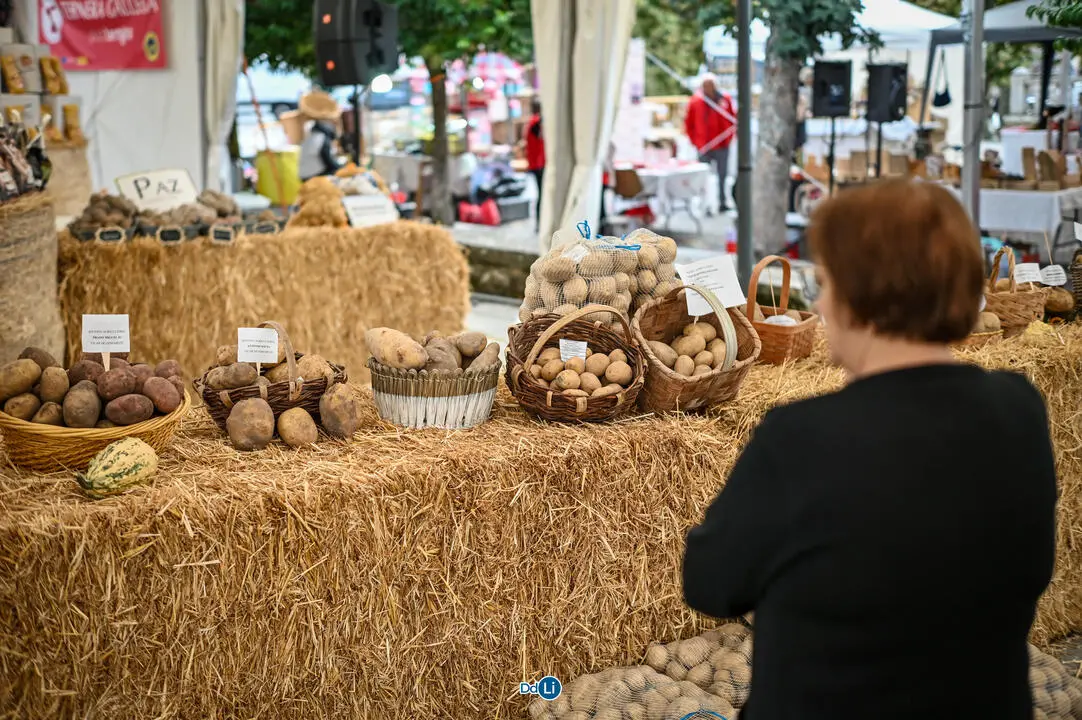 festa da paraca vilar de barrio-114