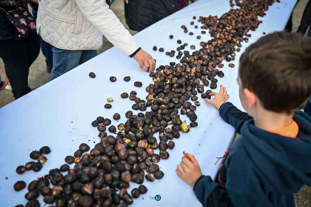 magosto parada-19