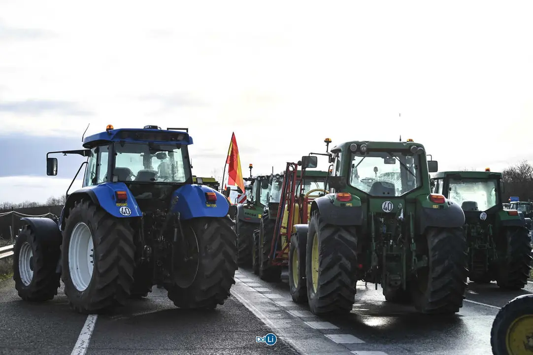 TRACTORESS-21