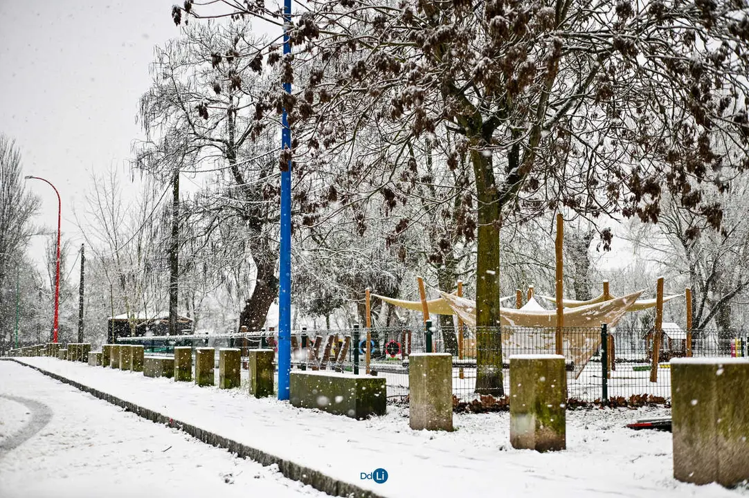 neve xinzo-07