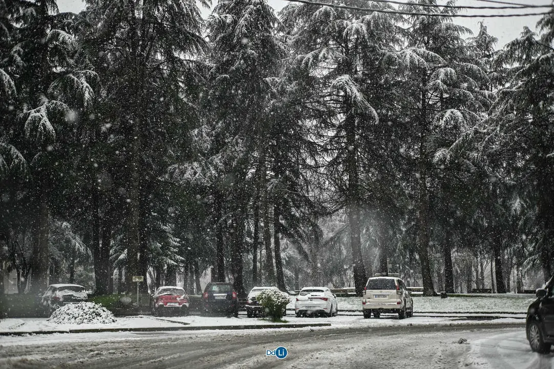 neve xinzo-09