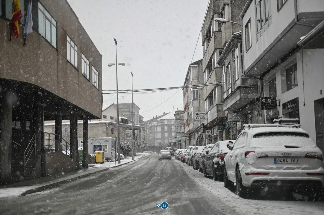 neve xinzo-10