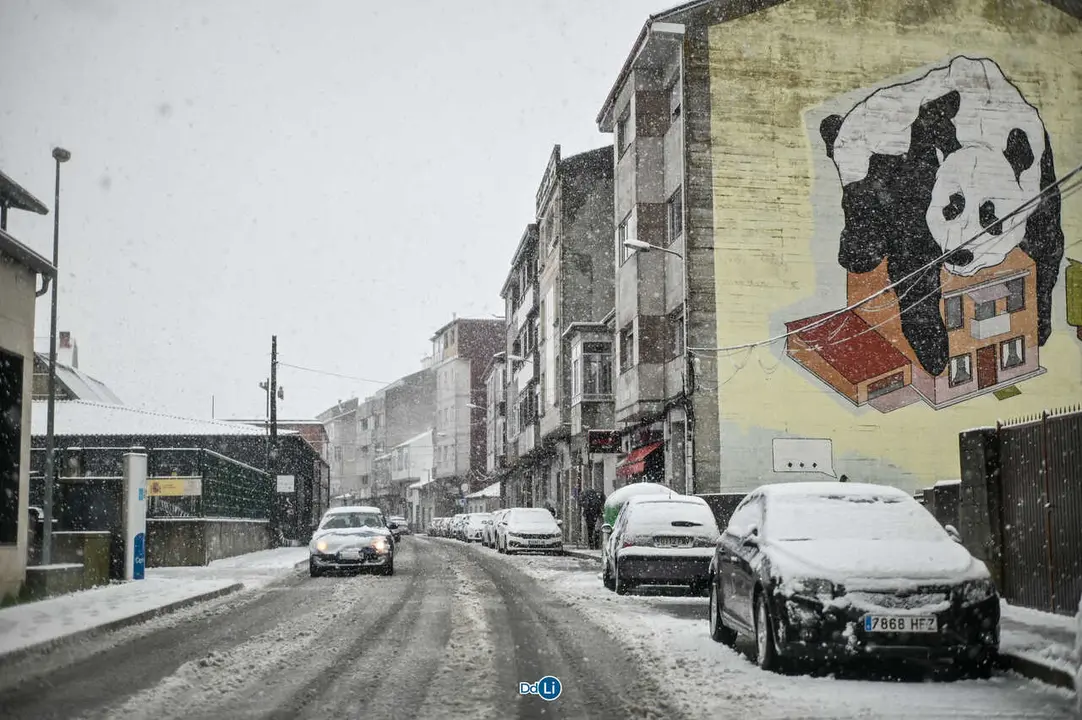neve xinzo-11