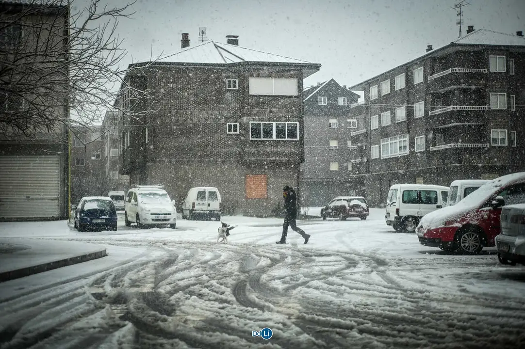 neve xinzo-12