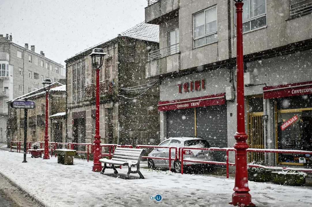 neve xinzo-13