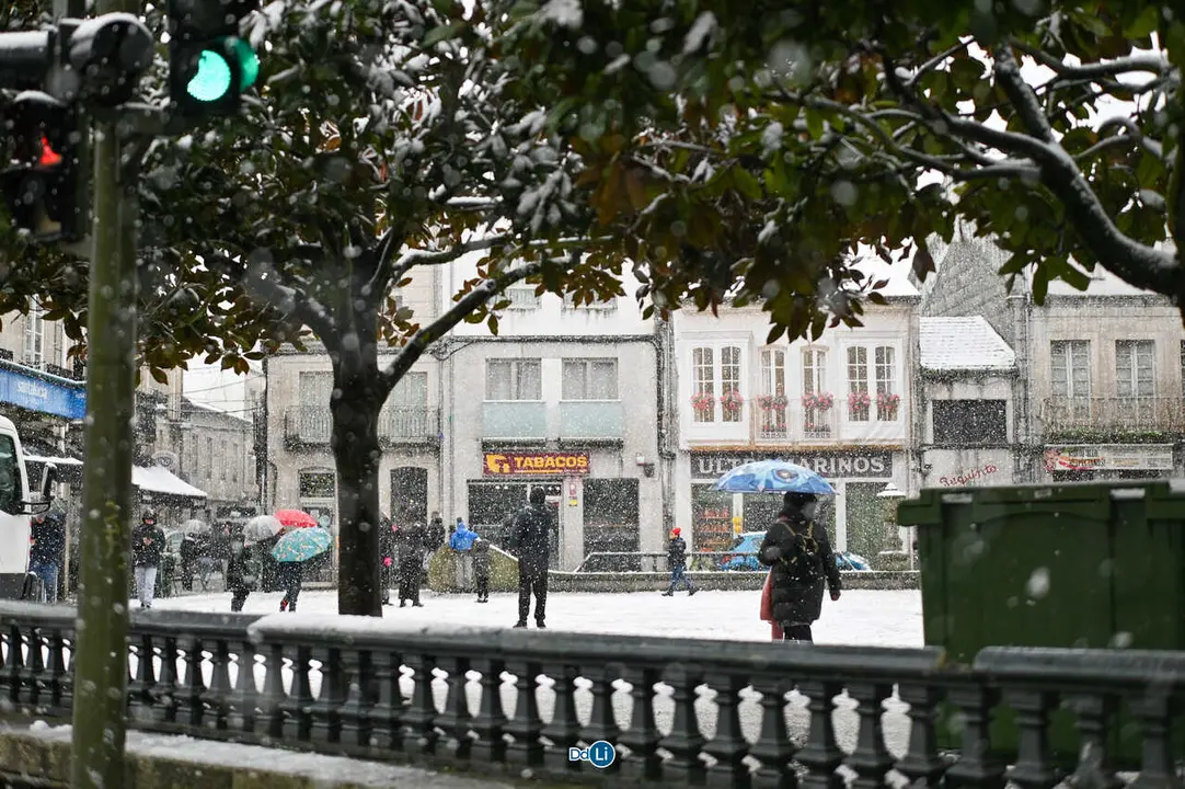 neve xinzo-15