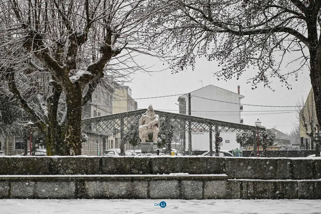 neve xinzo-16
