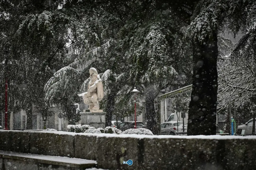 neve xinzo-17