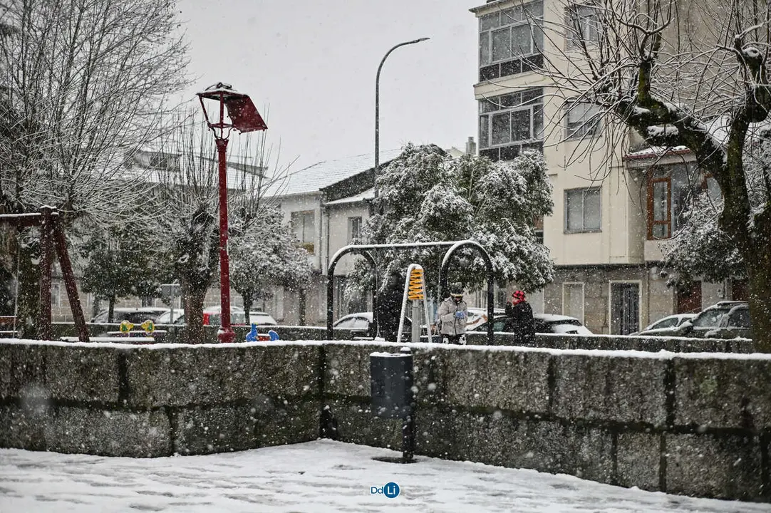 neve xinzo-18