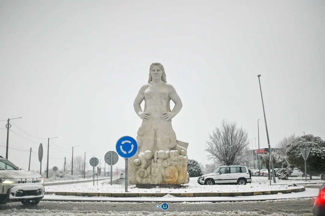 neve xinzo-23