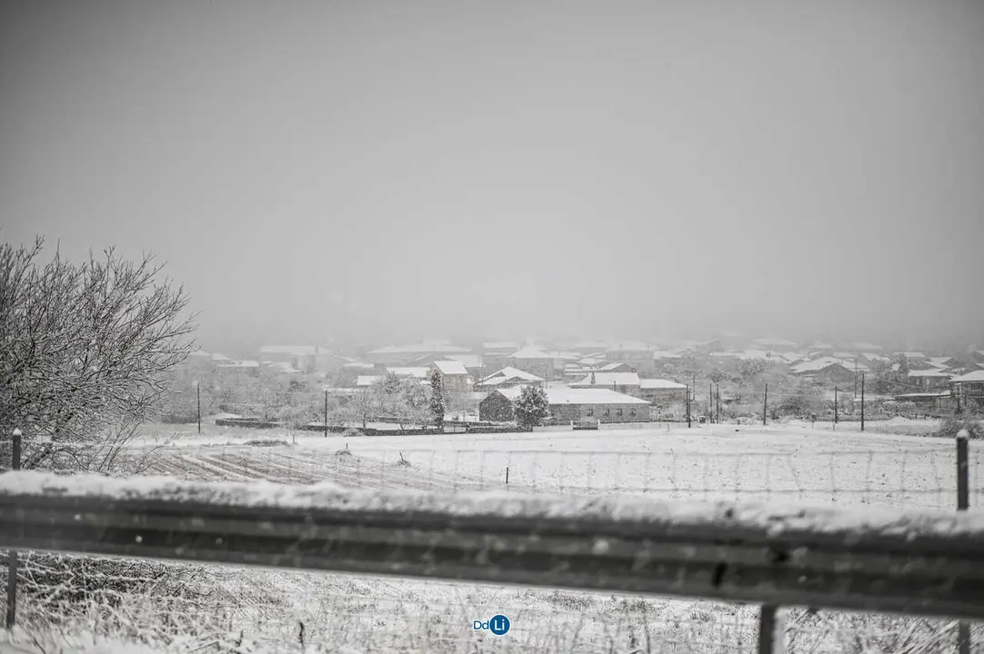 neve xinzo-25