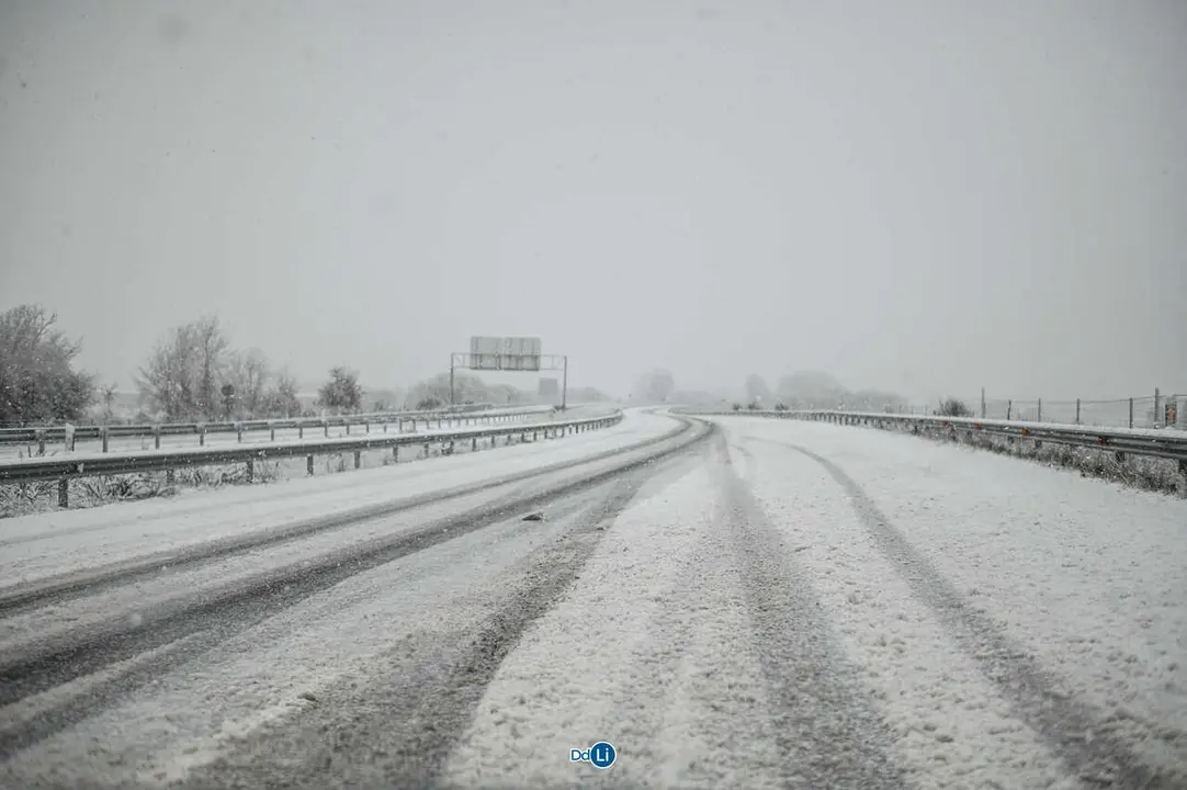 neve xinzo-26