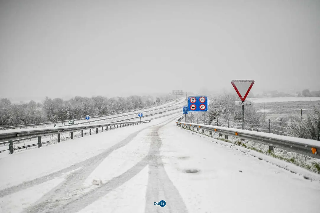 neve xinzo-27