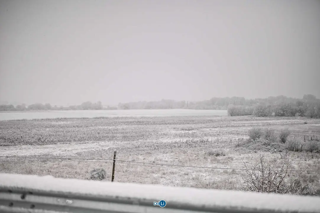 neve xinzo-28