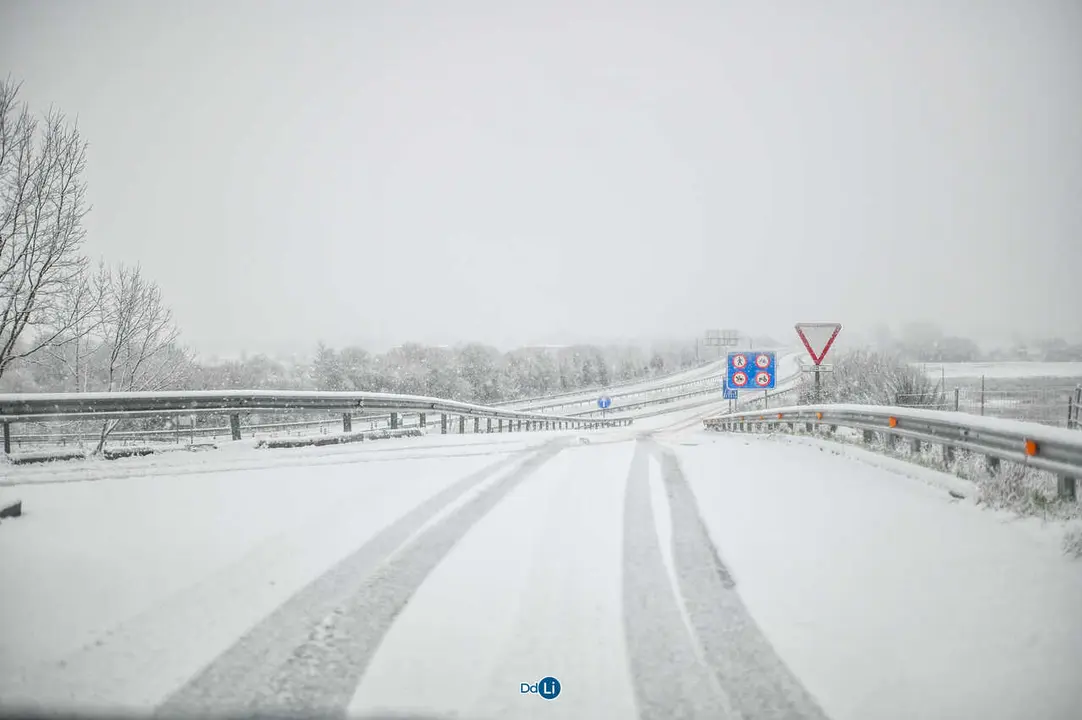 neve xinzo-29