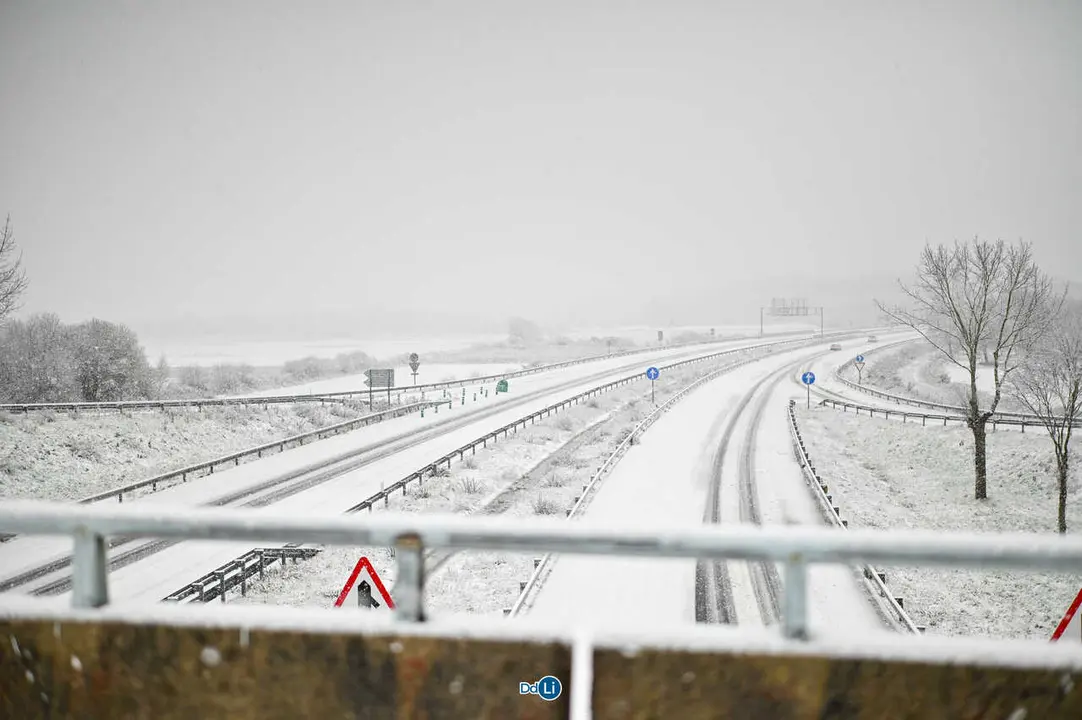 neve xinzo-30