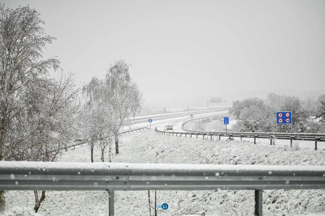 neve xinzo-31