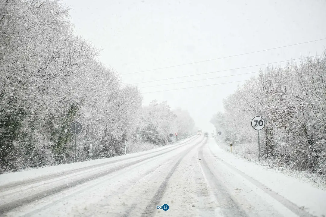 neve xinzo-35