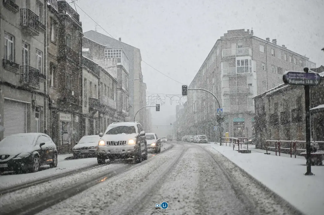 neve xinzo-40