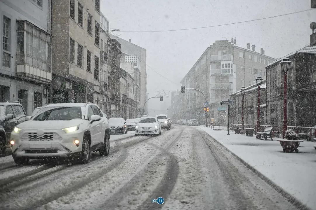 neve xinzo-41