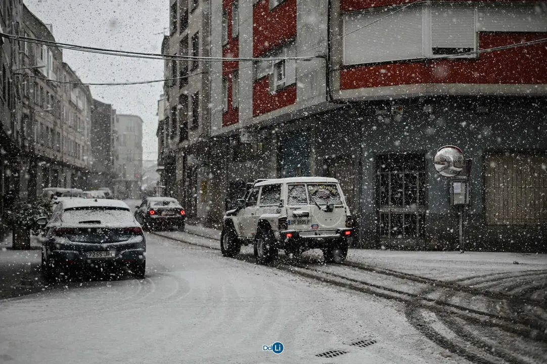 neve xinzo-42