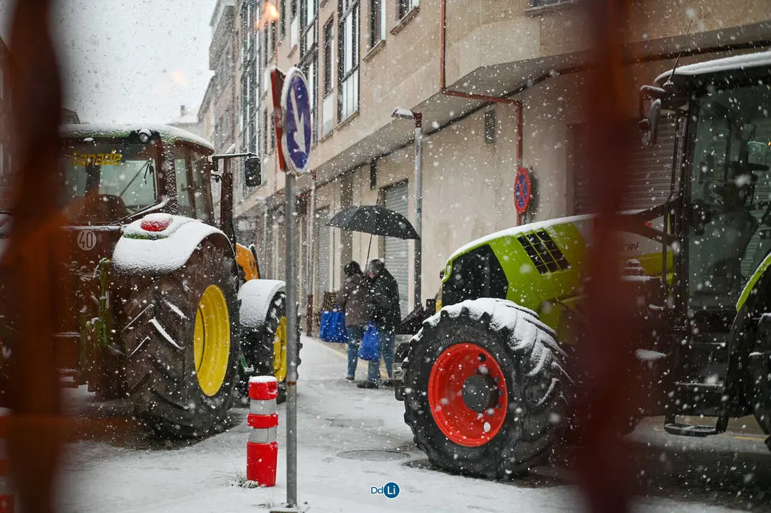 neve xinzo-46