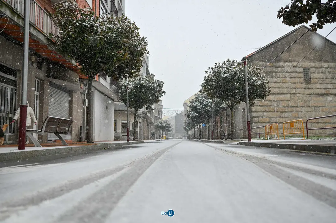 neve xinzo-48