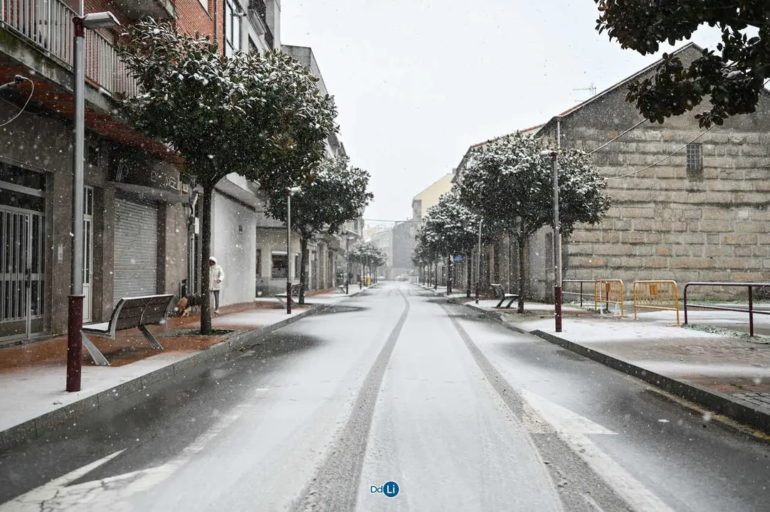 neve xinzo-49