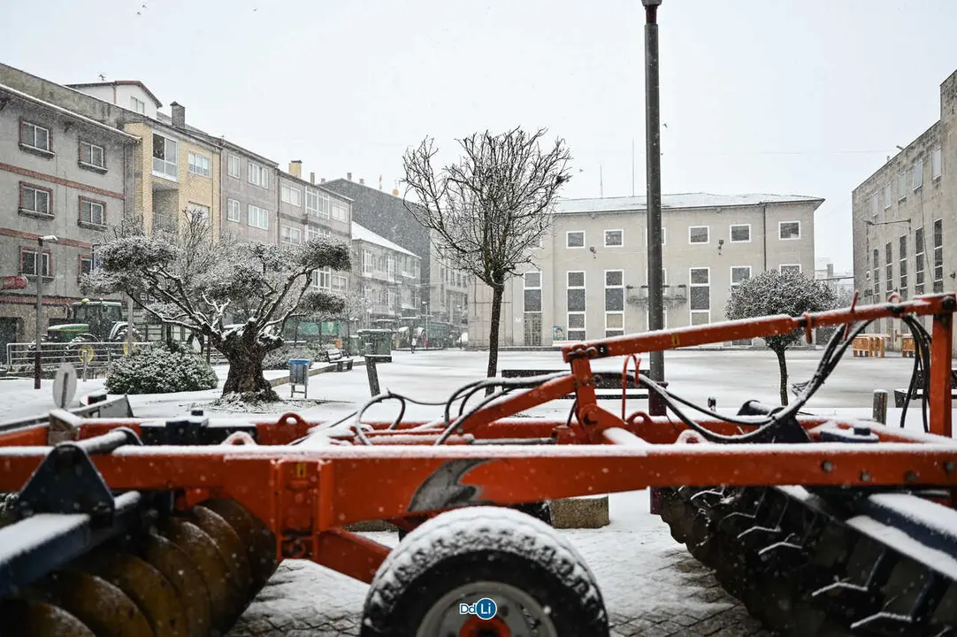 neve xinzo-52
