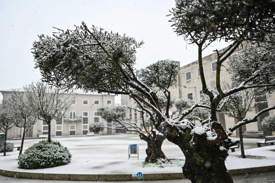 neve xinzo-54