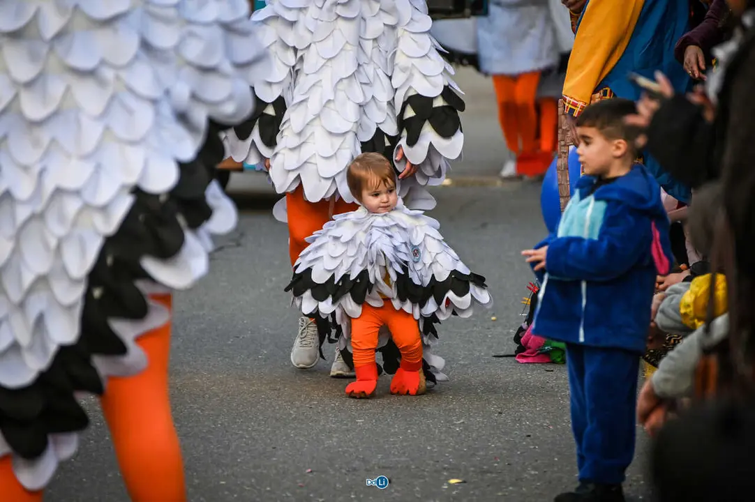 desfile entroido 2026-155