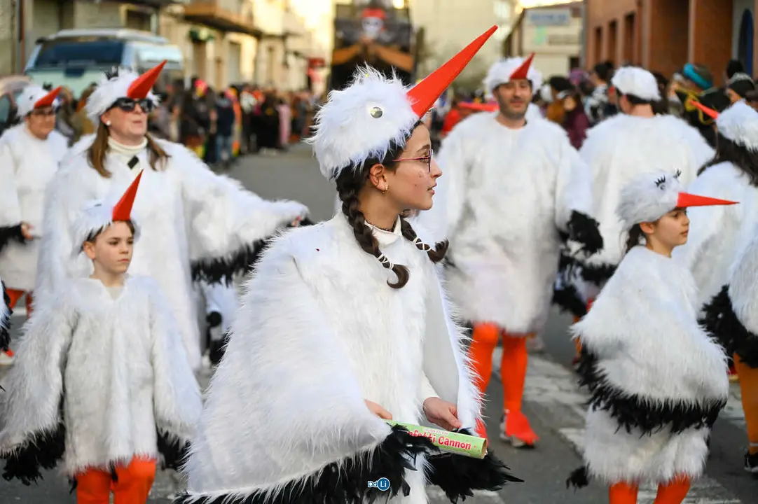 desfile entroido 2026-161