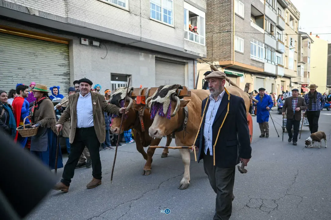 desfile entroido 2026-182