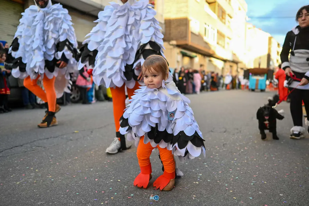 desfile entroido 2026-234
